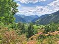 Ansicht
