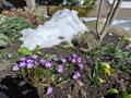 Ansicht