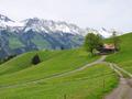 Ansicht