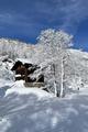 Ansicht