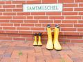 Ansicht