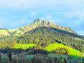 Ansicht