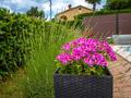 Ansicht