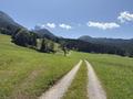 Ansicht