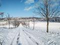 Ansicht